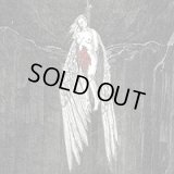 Angelic Viscera - Angelic Visera / DigiCD