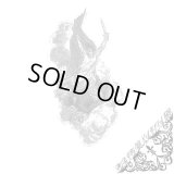 Purity Renaissance - Purity Renaissance / CD