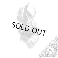 Purity Renaissance - Purity Renaissance / CD