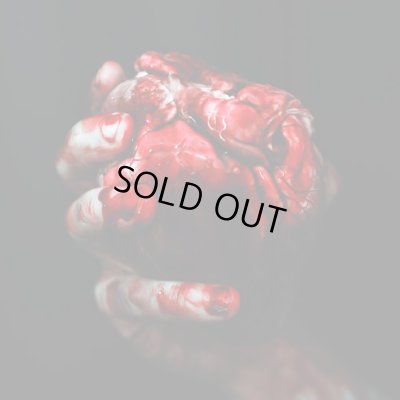 画像1: Forgotten Tomb - We Owe You Nothing / DigiCD