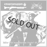 Einsatzgruppen / Balmung - Enter the Hyperborean Forest of Hatred / CD
