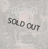 Dizziness - Offermort Heritage / CD