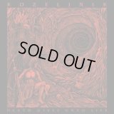 Kozeljnik - Death Gives unto Life / CD