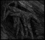 Selbst - Secular Compendium / DigiCD