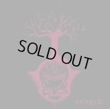 Dizziness - Reroute / CD