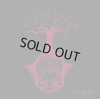 Dizziness - Reroute / CD