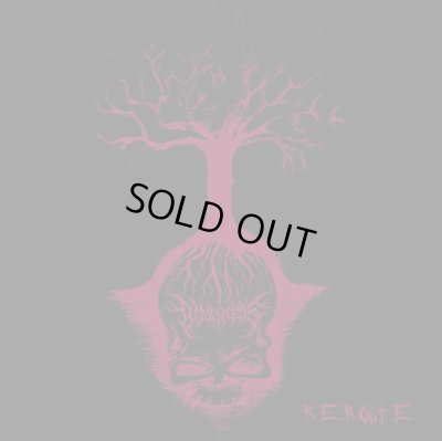 画像1: Dizziness - Reroute / CD