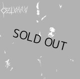 Dzlvarv - Dzlvarv / LP