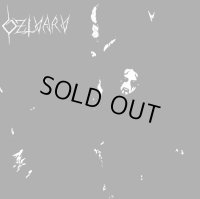 Dzlvarv - Dzlvarv / LP