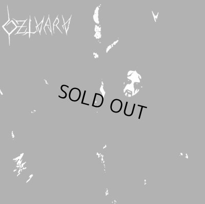 画像1: Dzlvarv - Dzlvarv / LP