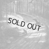 Burzum - Hvis lyset tar oss / CD