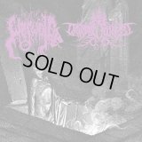 The True Werwolf / Druadan Forest - Split / CD