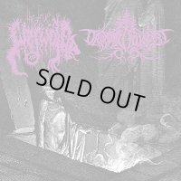 The True Werwolf / Druadan Forest - Split / CD