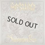 Absurd - Der Funfzehnjahrige Krieg / CD