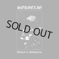 Sorgelig - Devoted to Nothingness / CD