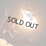 Black Beast - Nocturnal Bloodlust / CD