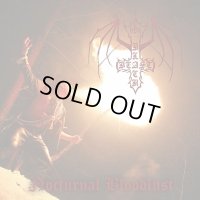 Black Beast - Nocturnal Bloodlust / CD