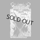 Sielunvihollinen - Kuolonkylvaja / LP