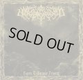 Hertogenwald - Esprit tellurique primitif / CD
