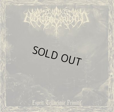 画像1: Hertogenwald - Esprit tellurique primitif / CD