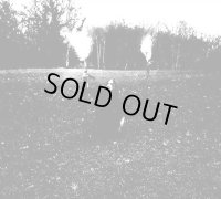 Sale Freux - Le dernier corbeau du monde / DigiCD