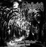 Graveland - Carpathian Wolves - Rehearsal 1993 / LP