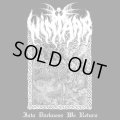 Wintaar - Into Darkness We Return / CD