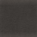 Congenital Hell - Anger and Grief / CD