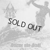 Aryan Blood - Sturme aus Stahl / CD