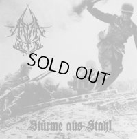 Aryan Blood - Sturme aus Stahl / CD