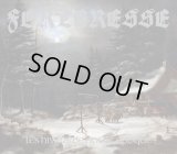 Forteresse - Les Hivers de Notre Epoque / DigiCD