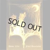 Fatal Desolation - Demo 2014 / SlimcaseDIYCD-R