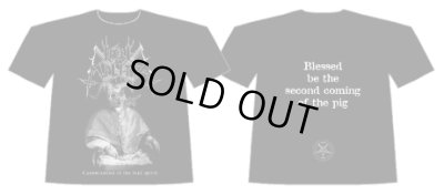 画像1: Hell Militia - Canonisation Of The Foul Spirit / T-Shirts