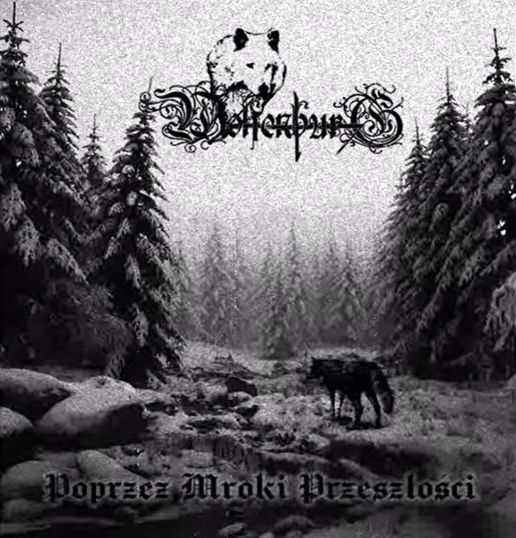 Wolfenburg - Poprzez mroki przesz?osci / CD
