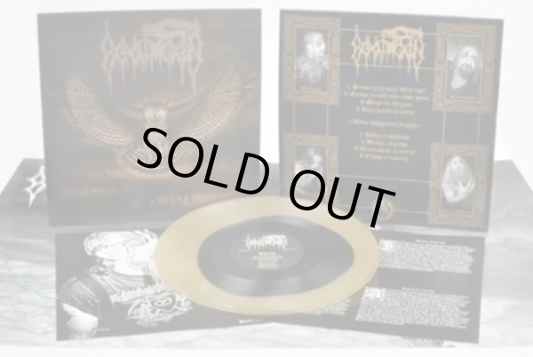 画像1: Goatmoon - Varjot / LP (1)