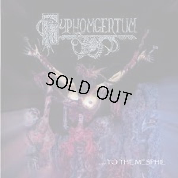 画像1: Pyphomgertum - ....to the Mesphil / The Dark Light / CD (1)