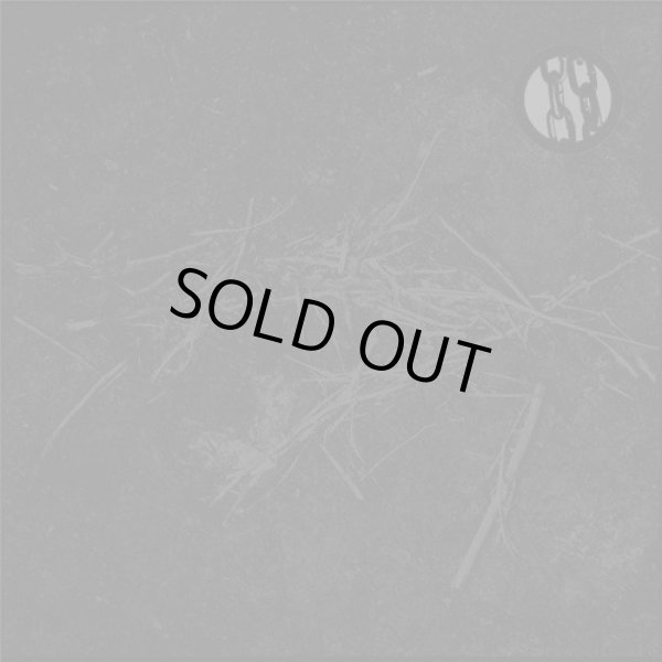 画像1: Ruin Lust - Ruin Lust / CD (1)