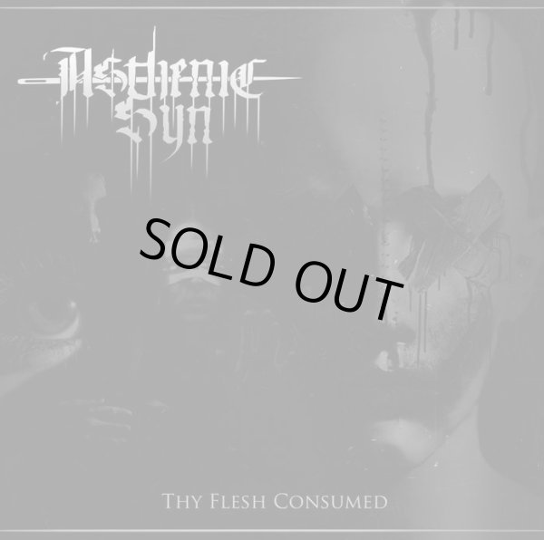 画像1: Asthenic Syn - Thy Flesh Consumed / DigiCD (1)