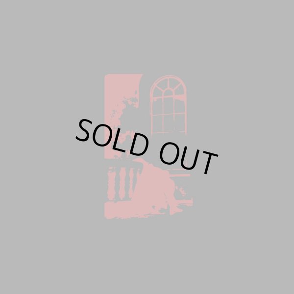 画像1: Spider God - Skugglosa ljuset / Shadowless Light / CD (1)