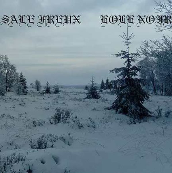 画像1: Sale Freux / Eole Noir - Split / CD (1)