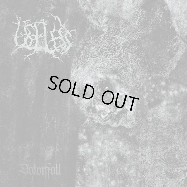 画像1: Useless - Downfall / CD (1)