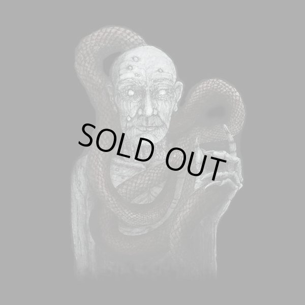 画像1: Thy Black Blood - The Rise of the Misanthrope / DigiCD (1)