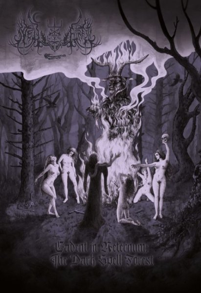 画像1: Spell Forest - Cadent in Aeternum: The Dark Spell Forest / A5DigiCD (1)