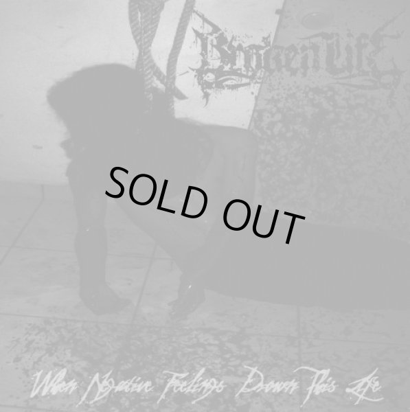 画像1: Broken Life - When Negative Feelings Drown This Life / CD (1)