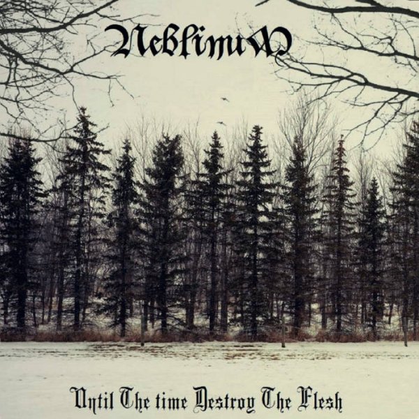 画像1: Neblinum - Until the Time Destroy the Flesh / CD (1)