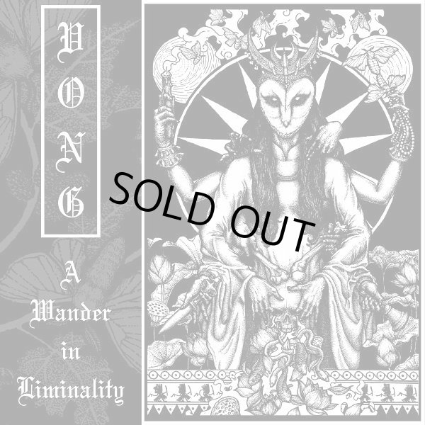 画像1: Vong - A Wander in Liminality (Definitive Edition) / CD (1)