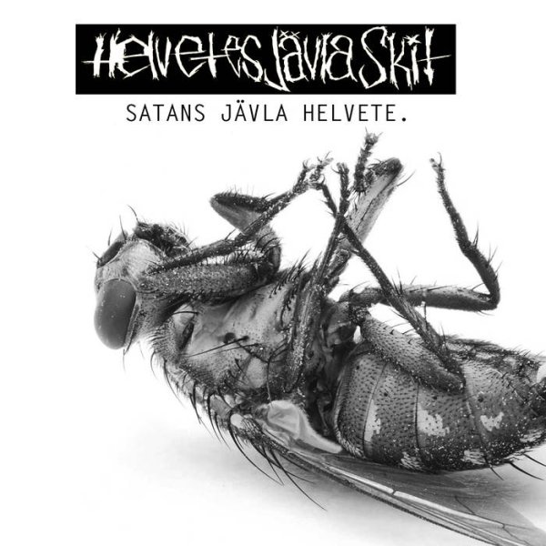 画像1: Helvetes Javla Skit - Satans Javla Helvete. / DigiCD (1)