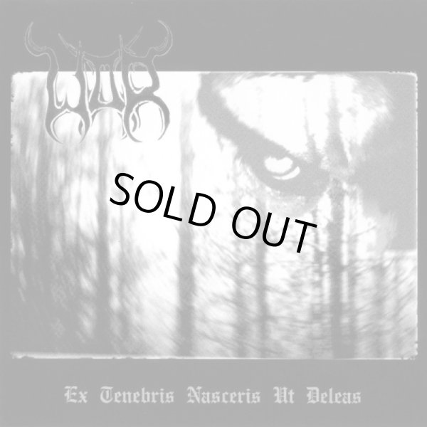 画像1: War - Ex Tenebris Nasceris ut Deleas / CD (1)