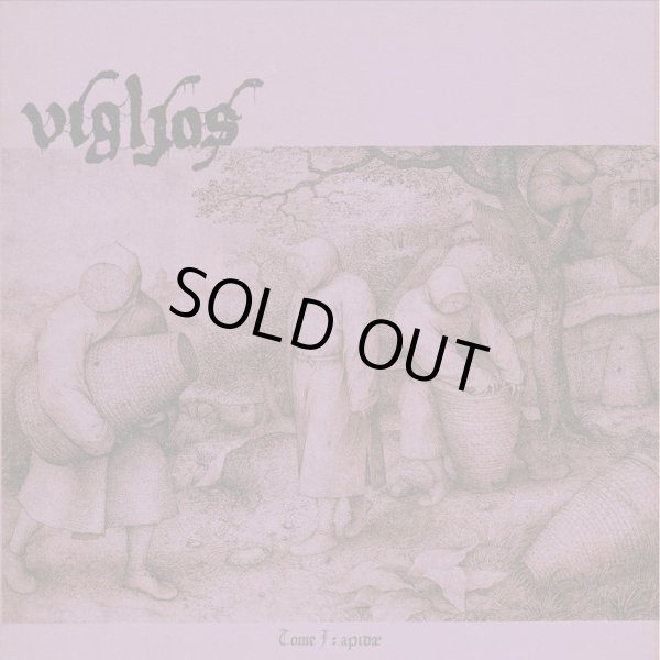 画像1: Vigljos - Tome I: Apidae / DigiCD (1)