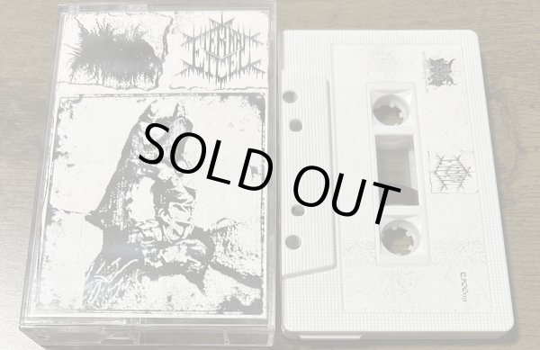 画像1: Asiratic Lithomancy / Eternal Ice - The Exquisite Dissonance of Morbidity / ProTape (1)